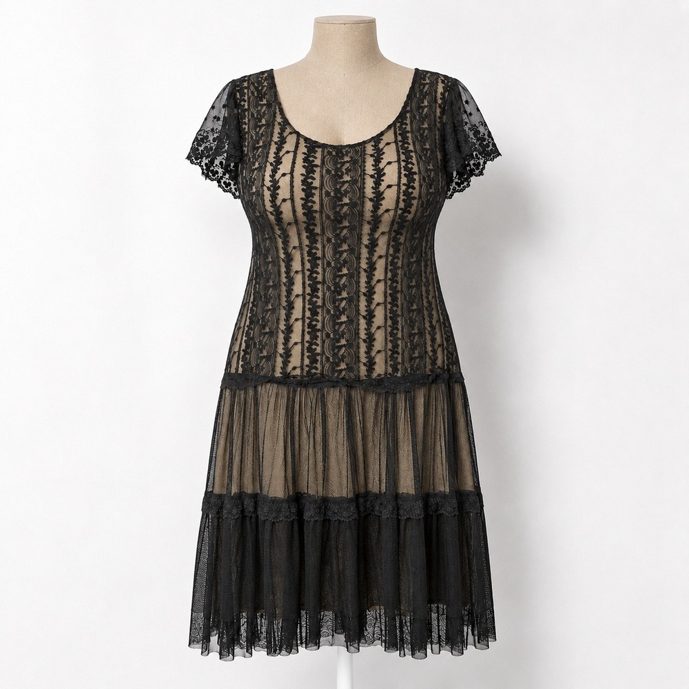 Vintage Y2K Sheer Lace Mesh Mini Dress Size S Black Drop Waist Ruffle Whimsigoth